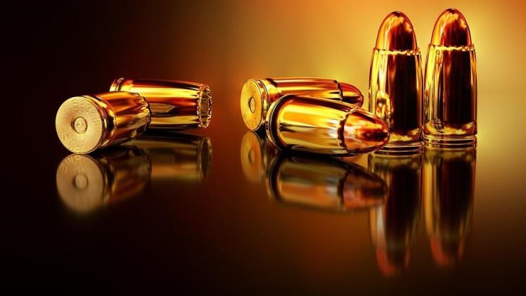 The Science Behind Ammunition: Bullets and Terminal Ballistics